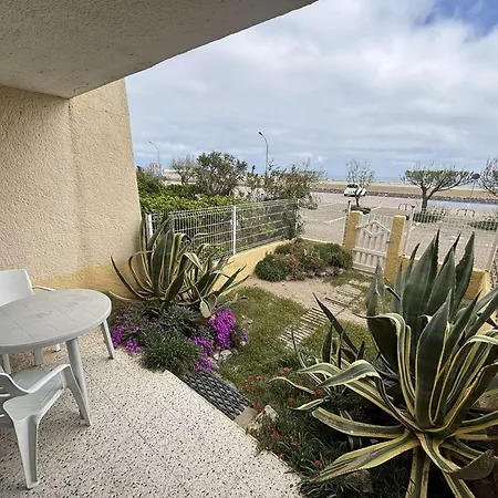 Apartment 2p 5 Couchages Avec Terrasse Et Parking - - Fr-1-229c-159